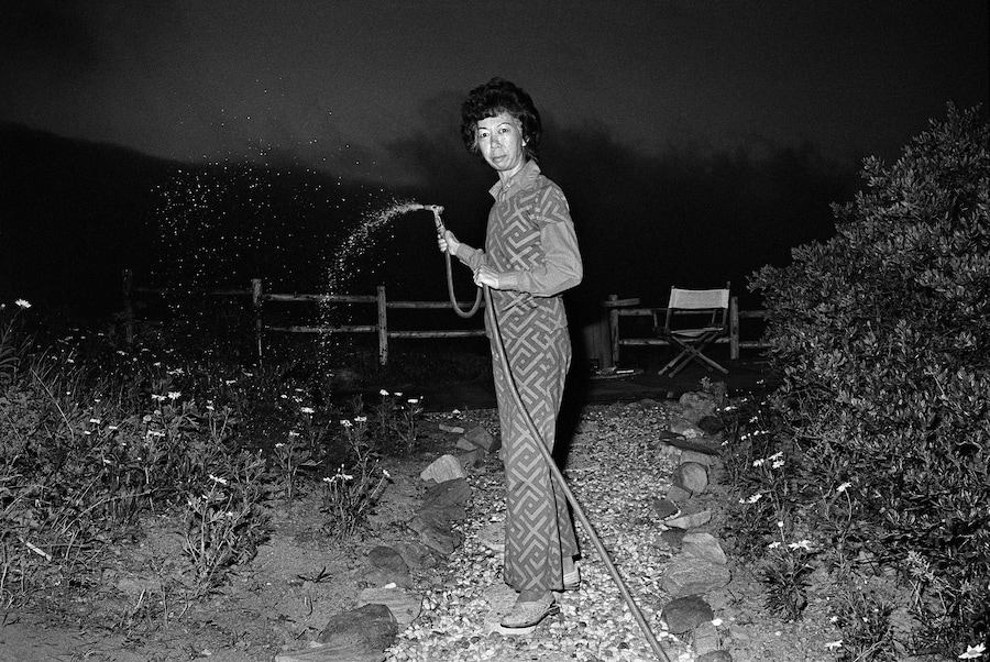 MichaelJang_TheJangs_LucyWateringAtNight_HIRES