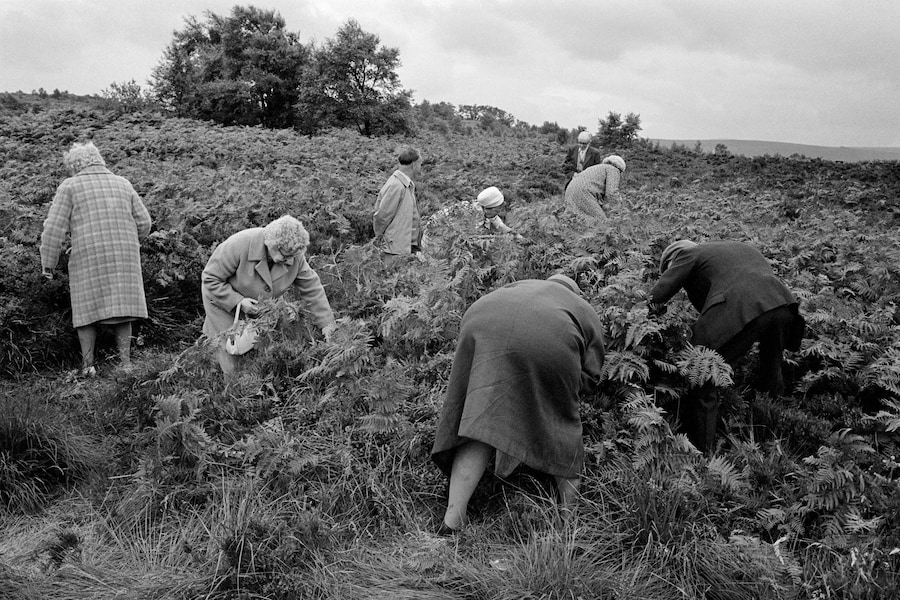 Martin Parr Early Works Photography Book United Kingdom