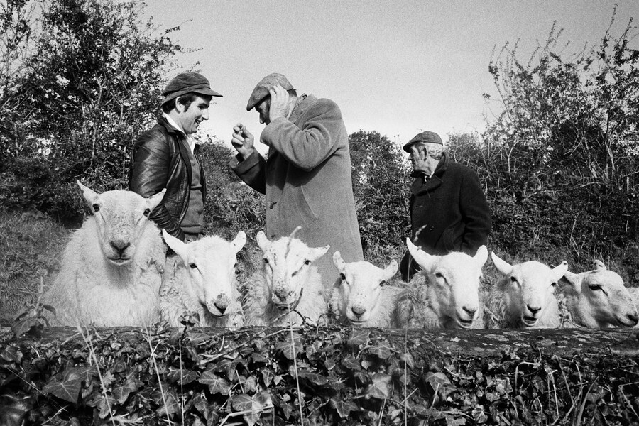 Martin Parr Early Works Photography Book United Kingdom