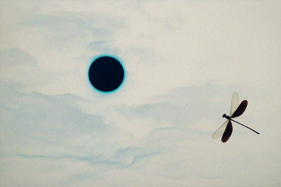 Yumi and the Moon Yumi Carter Alexandra Leese