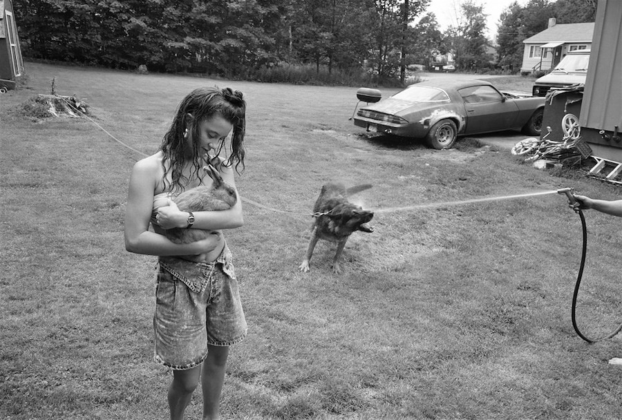 Animals by Sage Sohier