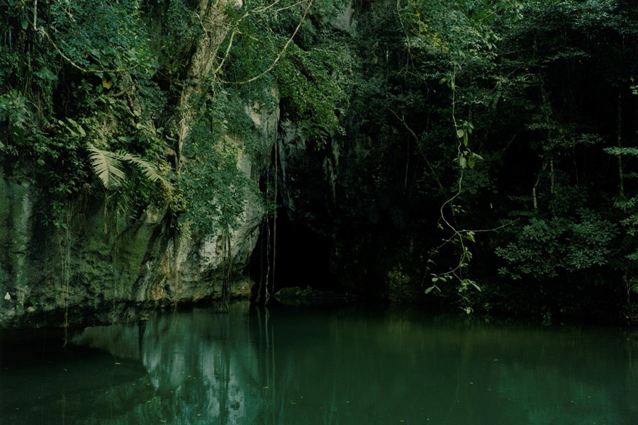 Belize Deeper Green World Land Trust Colin Dodgson