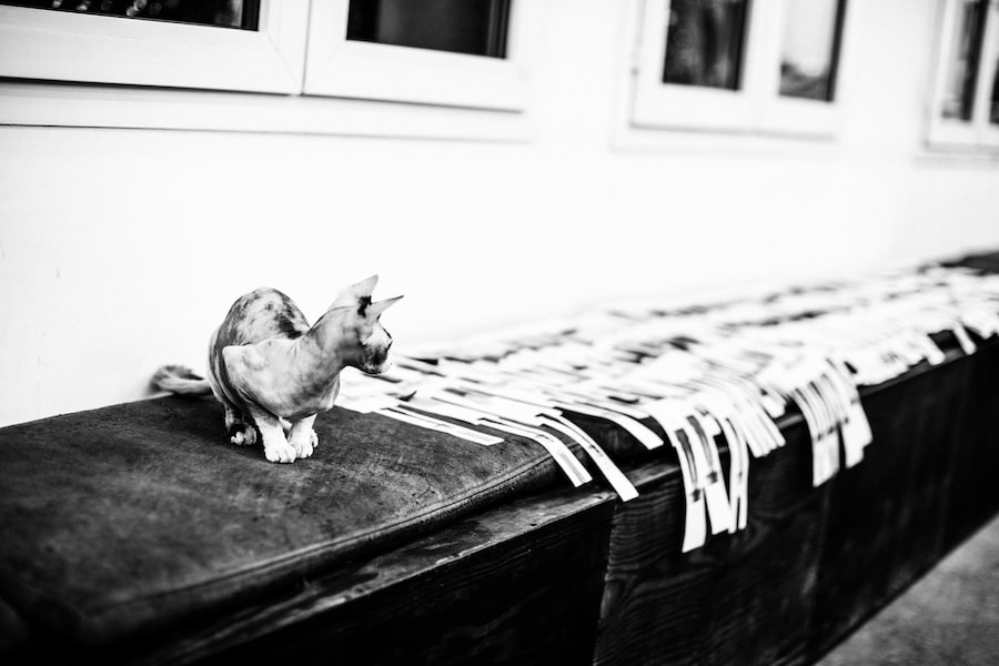 Rick Owens AW20 FW20 Performa Womens fittings