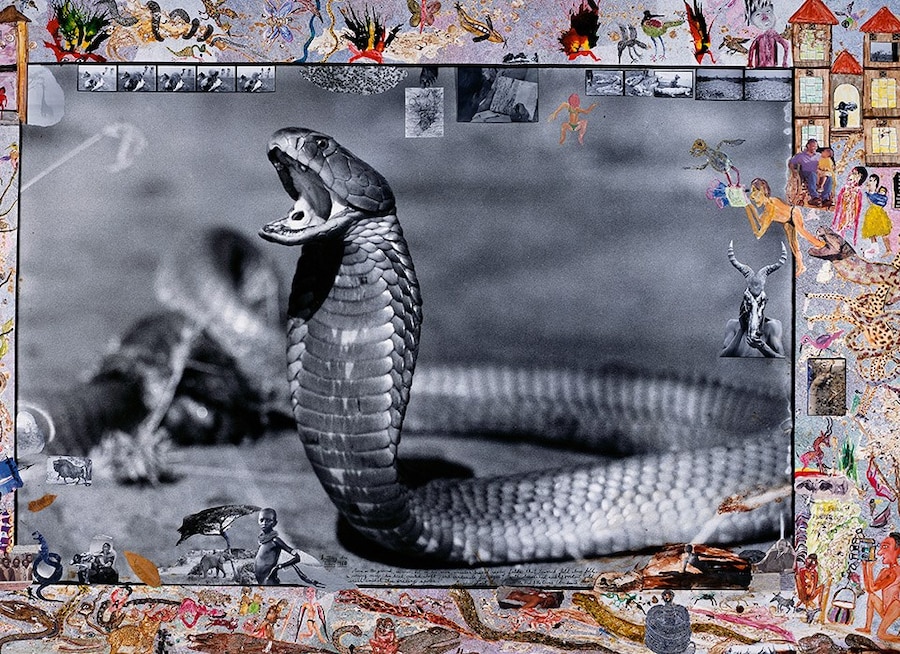 Peter Beard Taschen XL