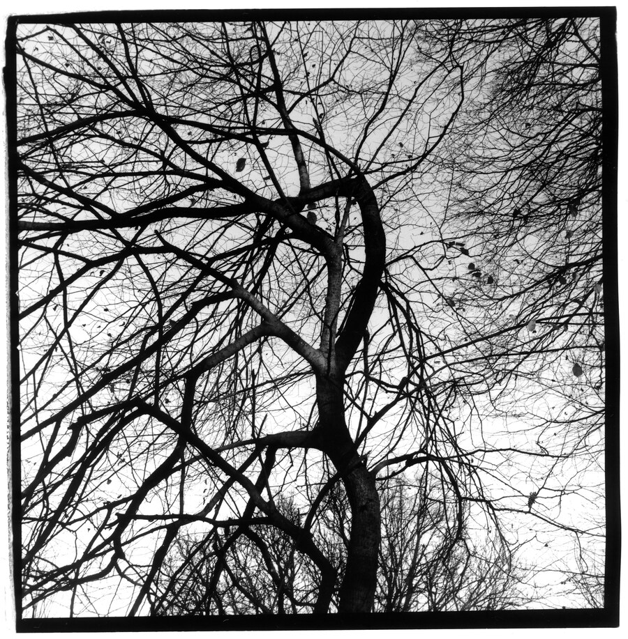 Phoebe Kiely West Coast Photo industrial towns