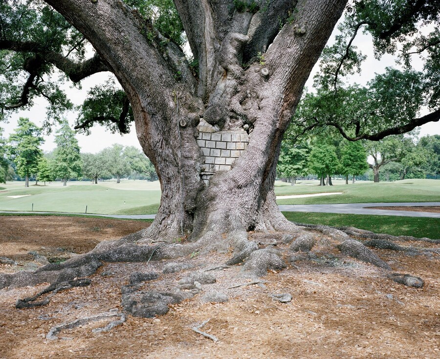 New Orleans Country Club, 2012 &#169; Akasha Rabut from