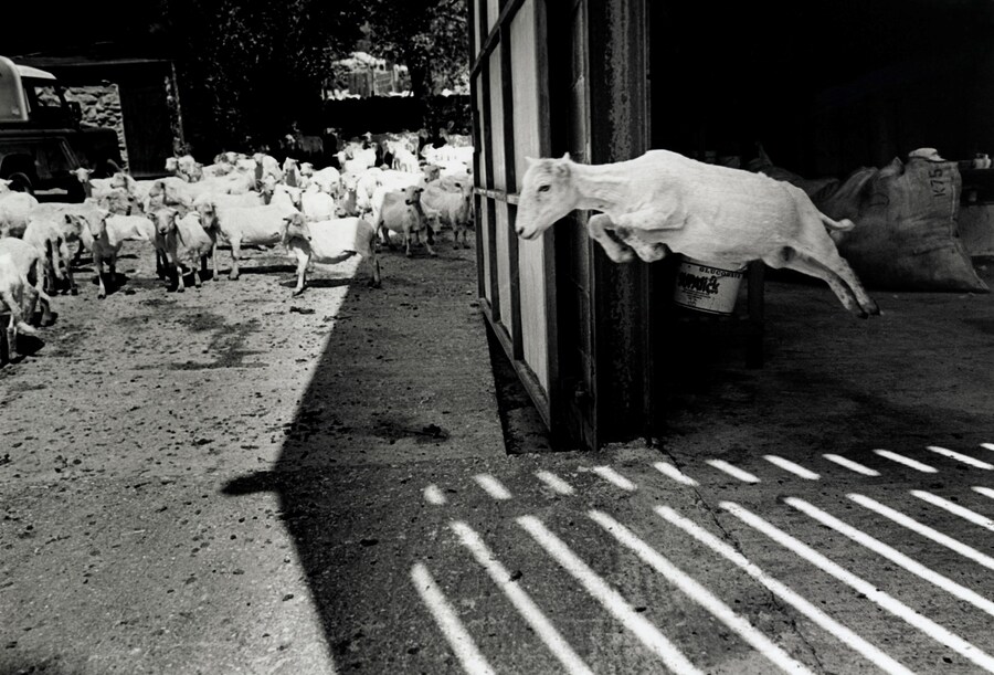 David Hurn Magnum Square Print Sale