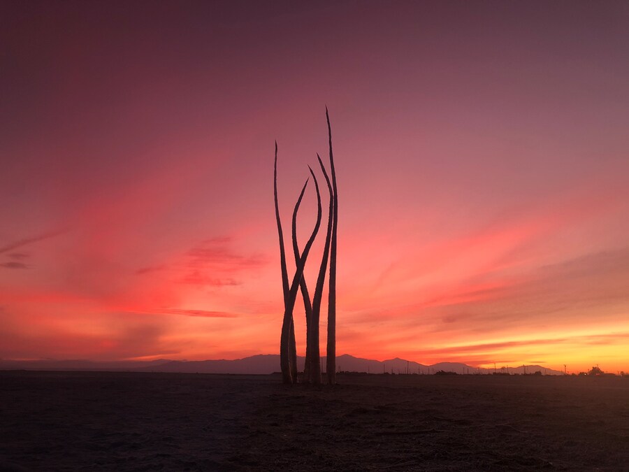 Wanda Orme Akasha 2020 Salton Sea art sculpture
