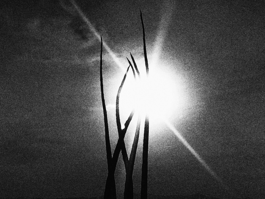 Wanda Orme Akasha 2020 Salton Sea art sculpture