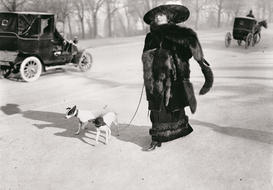 Lartigue the Boy and the Belle Epoque