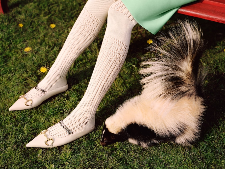 Gucci pre-fall 2020 Alasdair McLellan animals