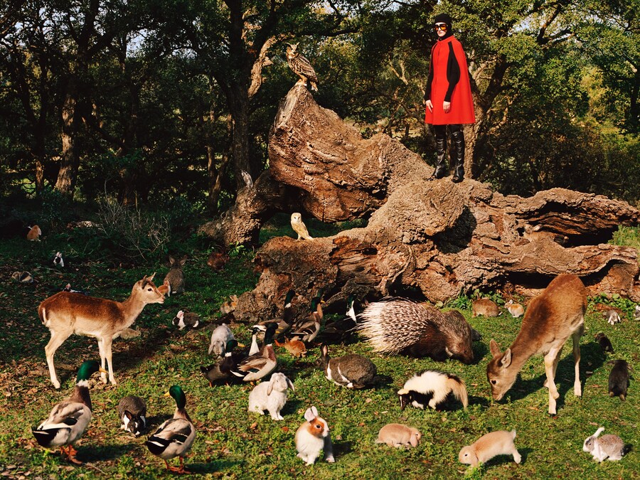 Gucci pre-fall 2020 Alasdair McLellan animals