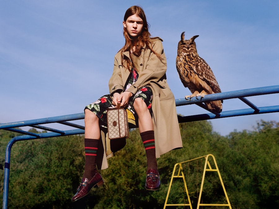 Gucci pre-fall 2020 Alasdair McLellan animals