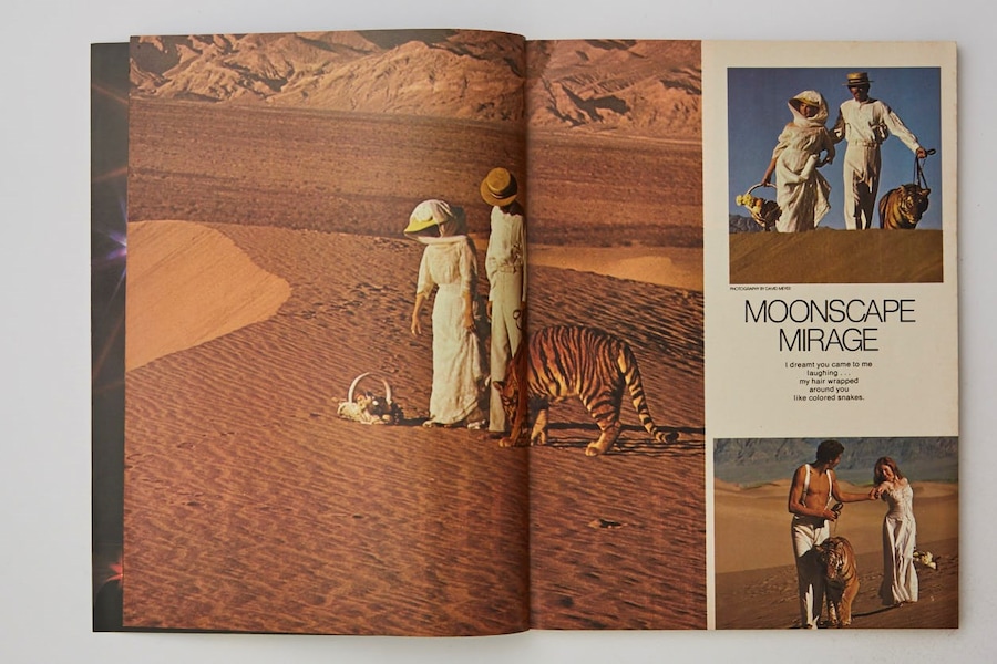 Playgirl magazine archive male erotica vintage porn 70s 80s