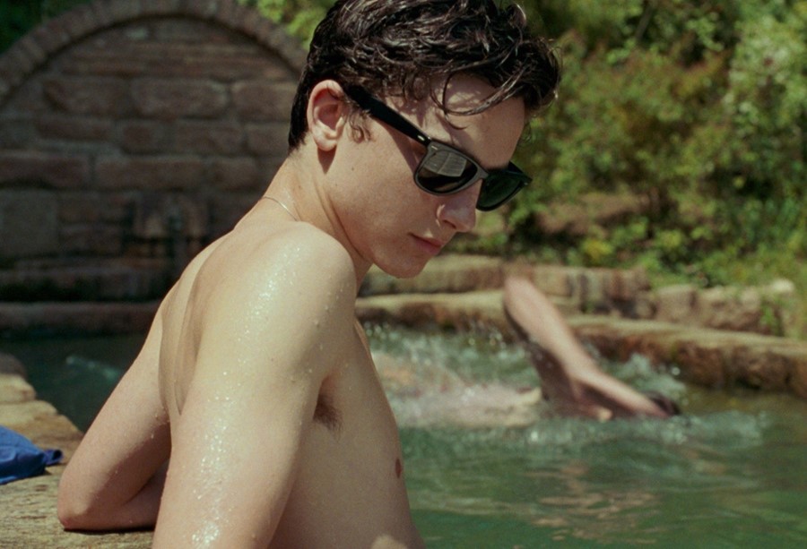 Timoth&#233;e Chalamet in Call Me By Your Name, 2017