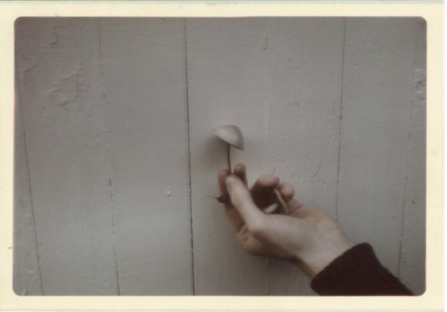 CageMycologyCollectionUCSC_CollectedbyCage02