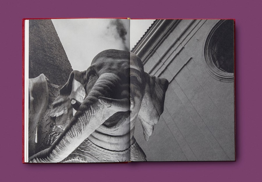 Beaten &amp; Blown by the Wind