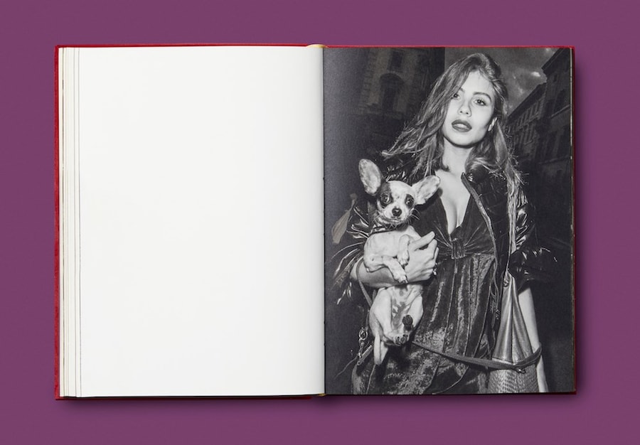 Beaten &amp; Blown by the Wind