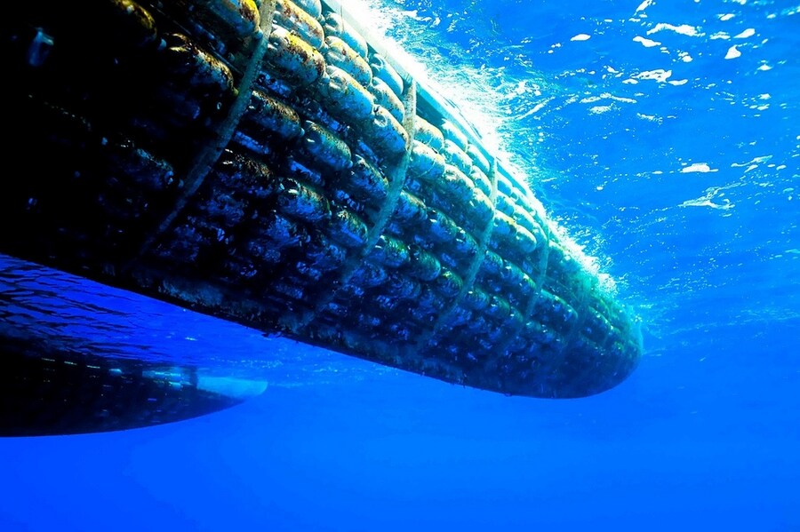Sail flying through the water