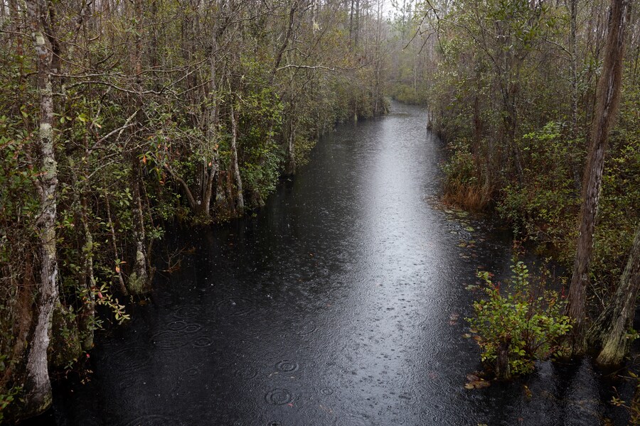 Catherine Opie Rhetorical Landscapes Political Collages