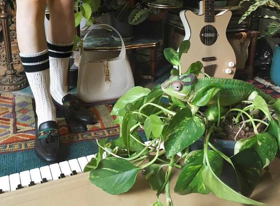 Gucci Autumn/Winter 2020 Campaign Alessandro Michele