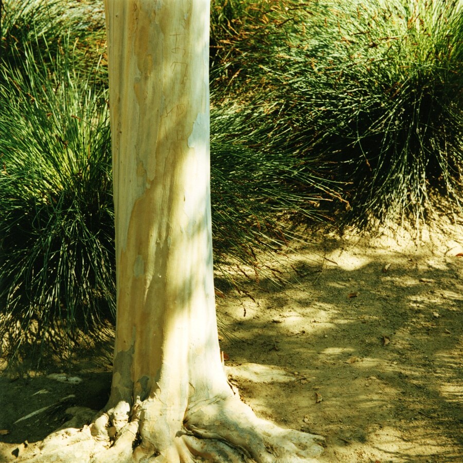 Mikiko Hara, #142, Untitled, 2009 (Still). Copyrig