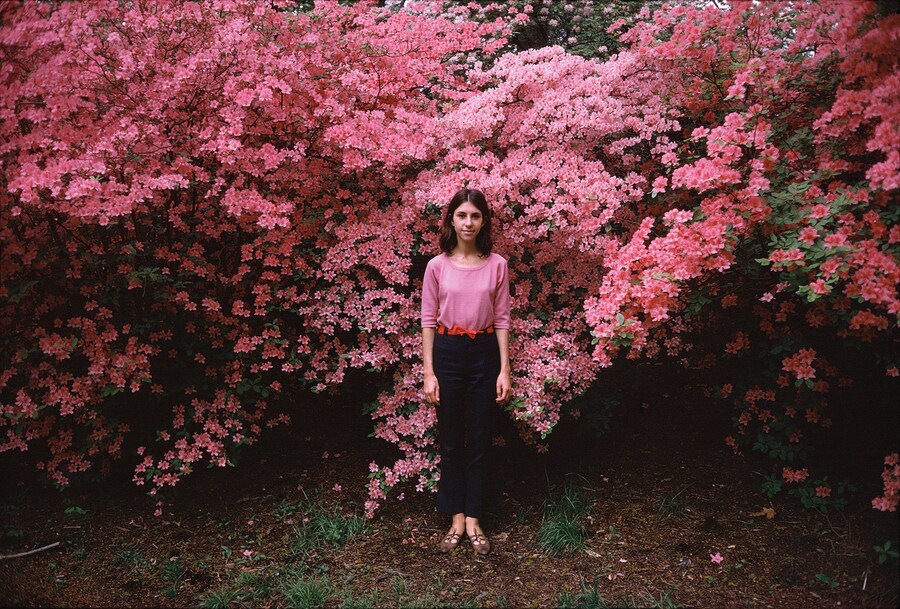 Joel Meyerowitz street photography How I Make Photographs