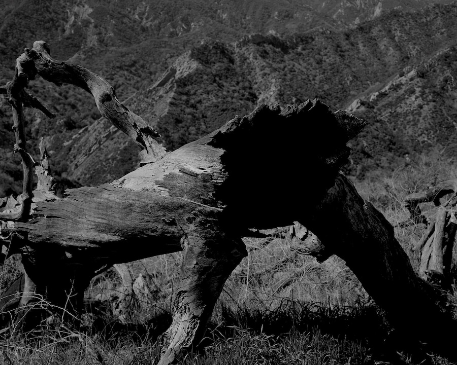 Mark_McKnight_Heaven_is_a_Prison_5