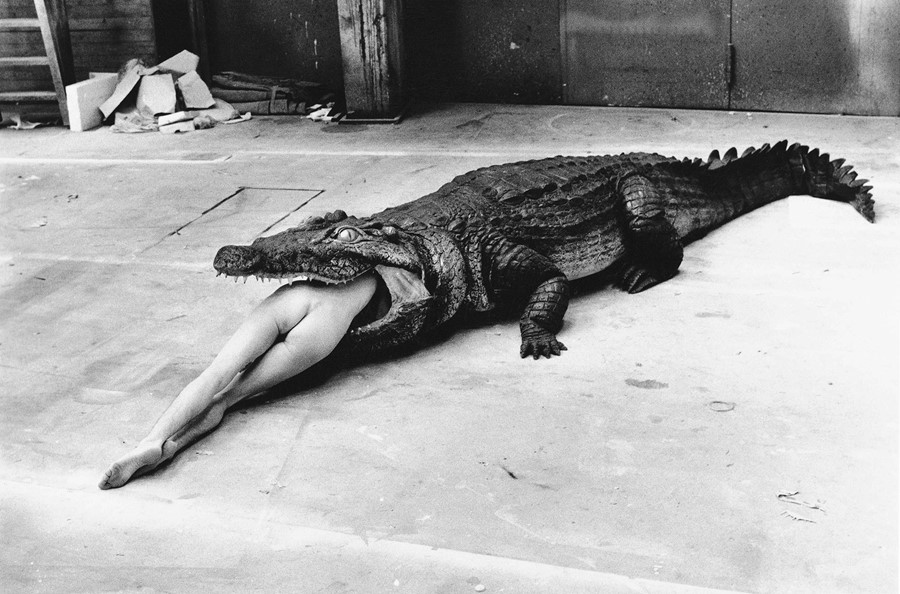 HELMUT NEWTON, Crocodile, Wuppertal, 1983 (c) Foto