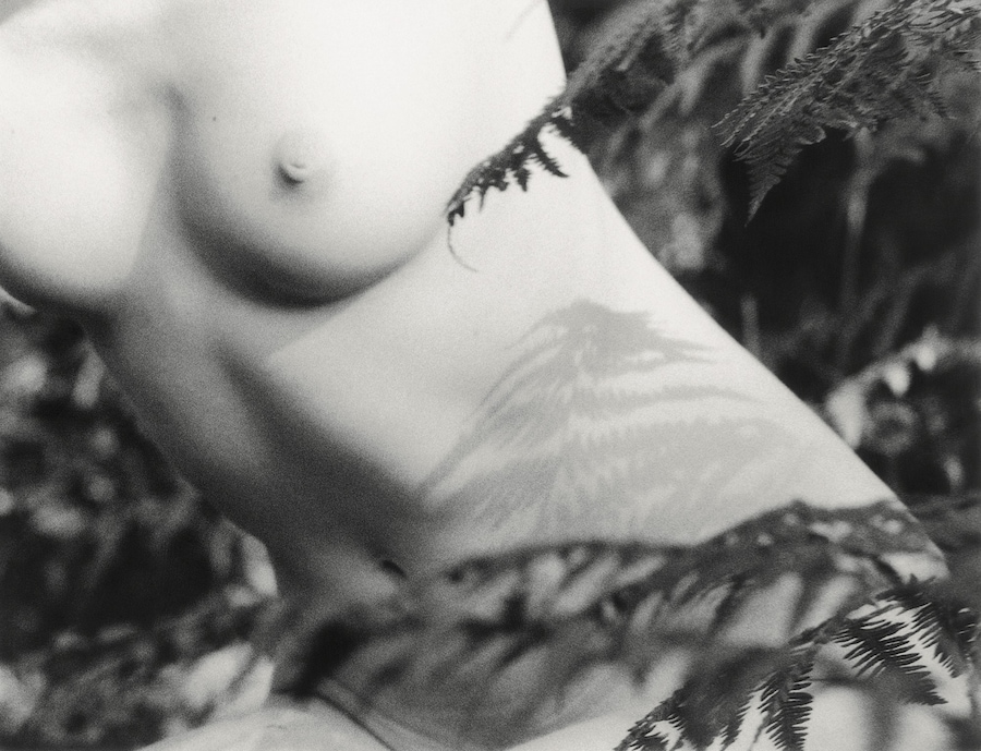 Reunion Daisy Walker photographer nude nature