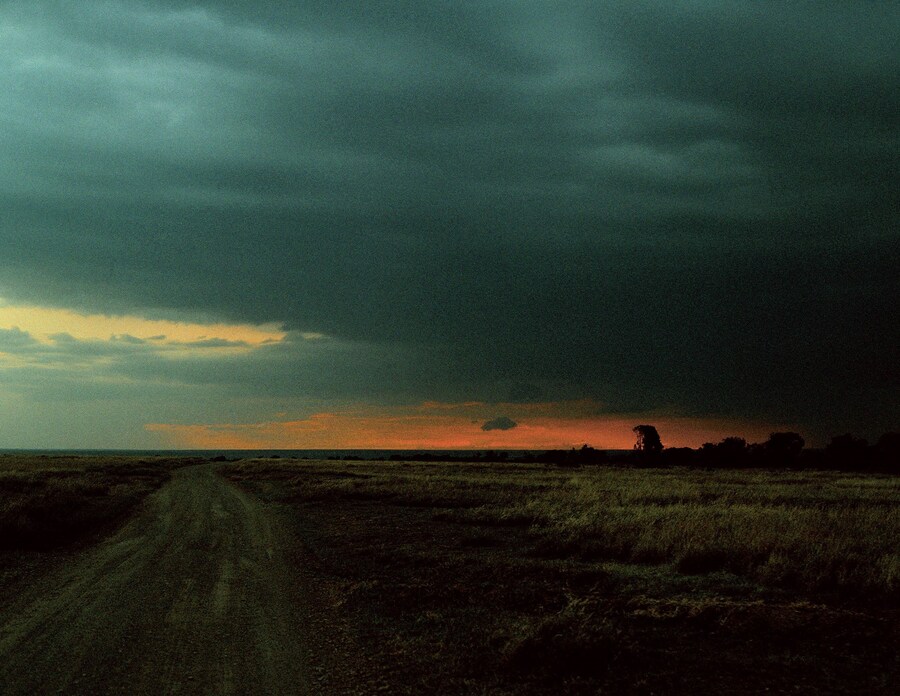 Jack_Davison_Ol_Pejeta07