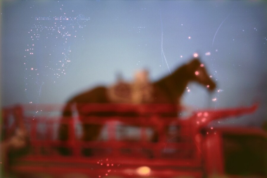 Nan Goldin: Memory Lost photographer exhibition