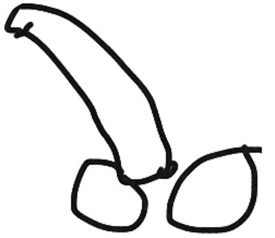 Penile Papers
