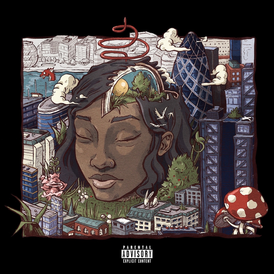 &#39;Stillness in Wonderland&#39; album cover. McKay Felt.