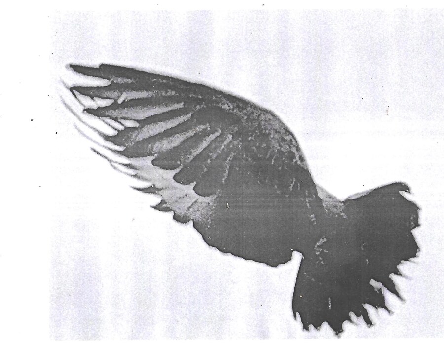 Manglien Gant&#233; fashion designer