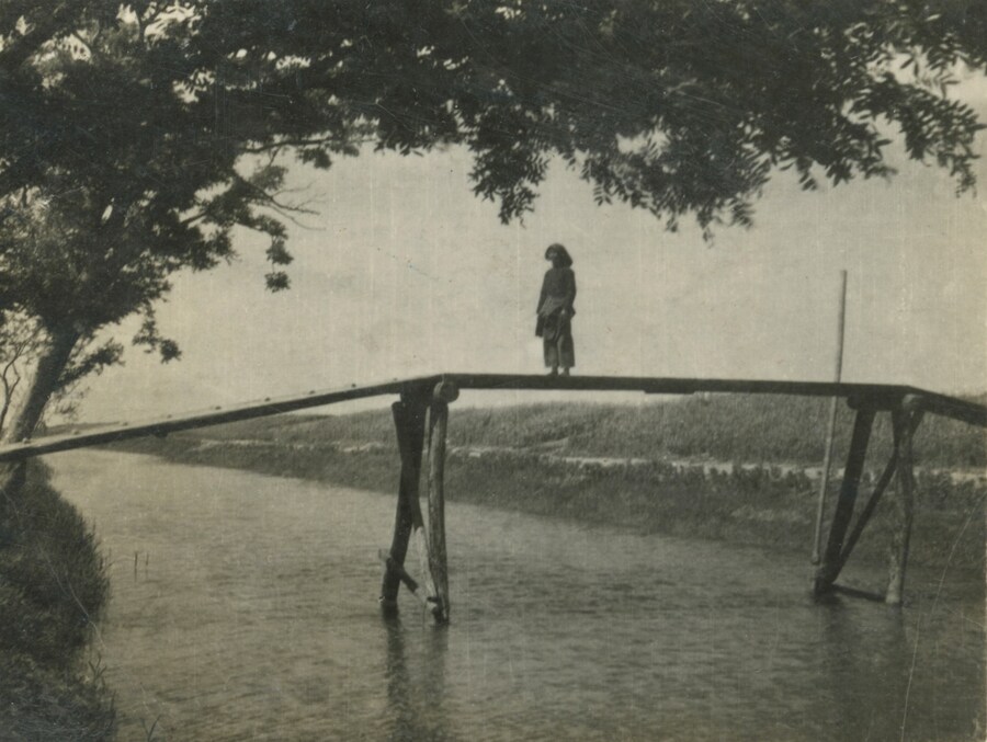 Untitled from History of Life Cai Dongdong book