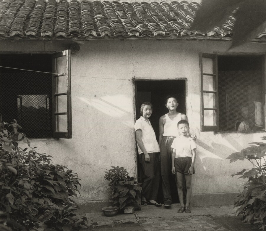 Untitled from History of Life Cai Dongdong book