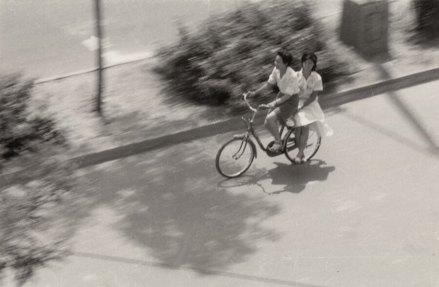 Untitled from History of Life Cai Dongdong book