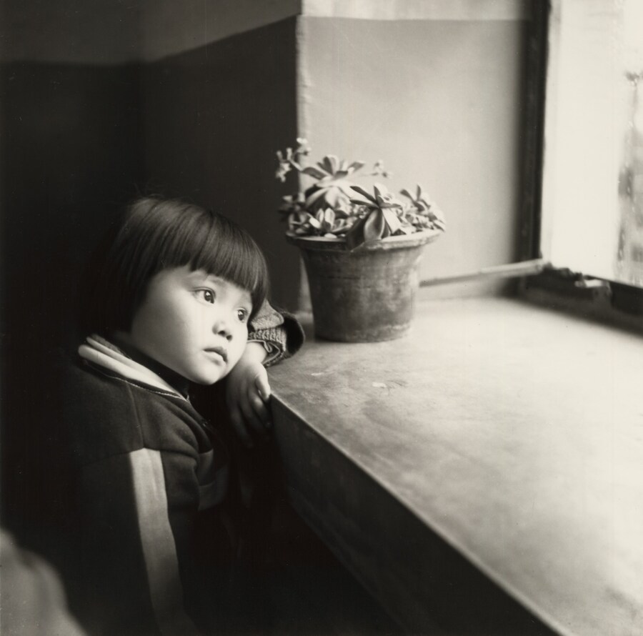 Untitled from History of Life Cai Dongdong book