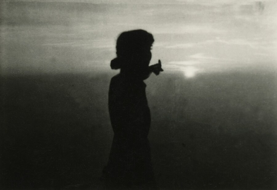 Untitled from History of Life Cai Dongdong book