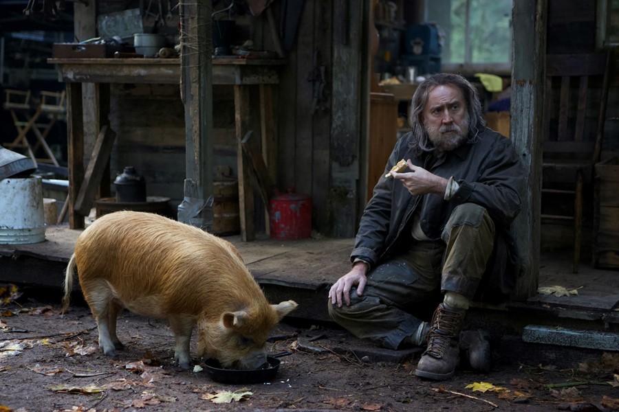 PIG Nicolas Cage