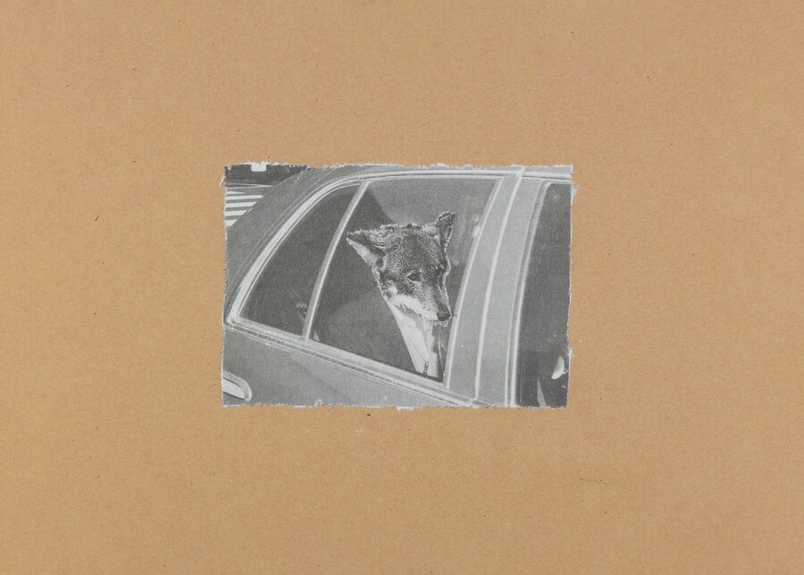 From Some Collages by Jim Jarmusch book