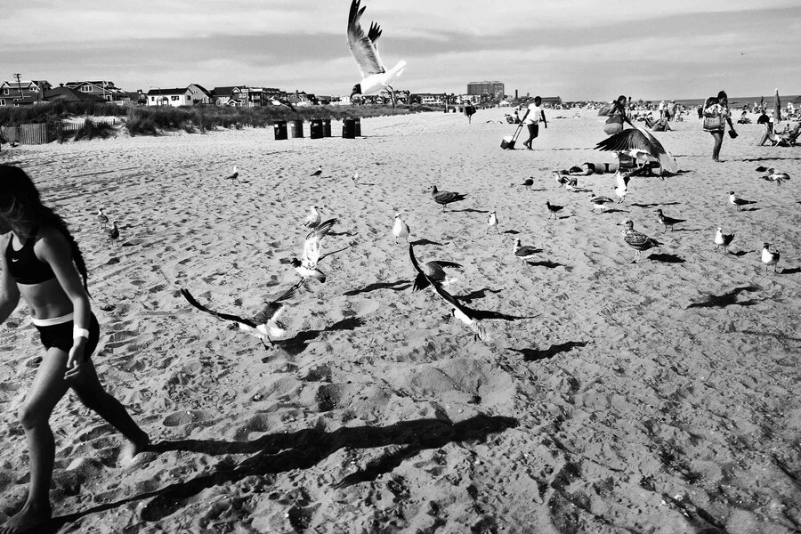 Sept. 2020 NYC by Sarai Mari artist photographer book