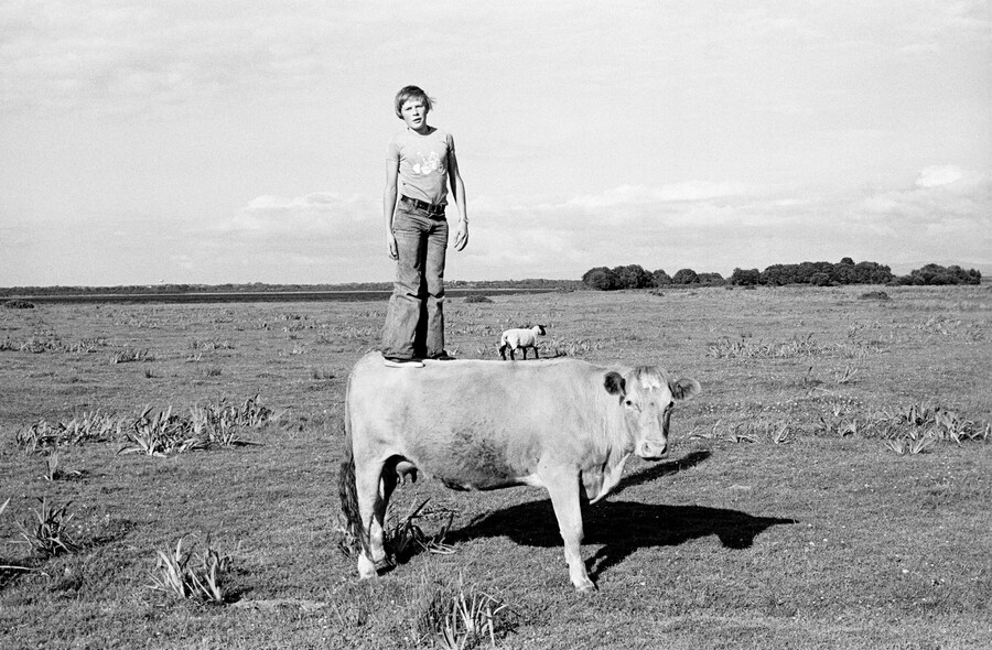 Irish Work by Tom Wood Standing Tall on Gr&#225;inne, 
