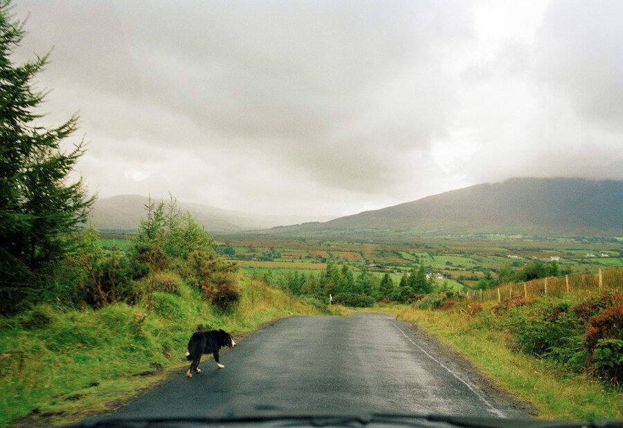 Irish Work by Tom Wood The Windy Gap, 1991 