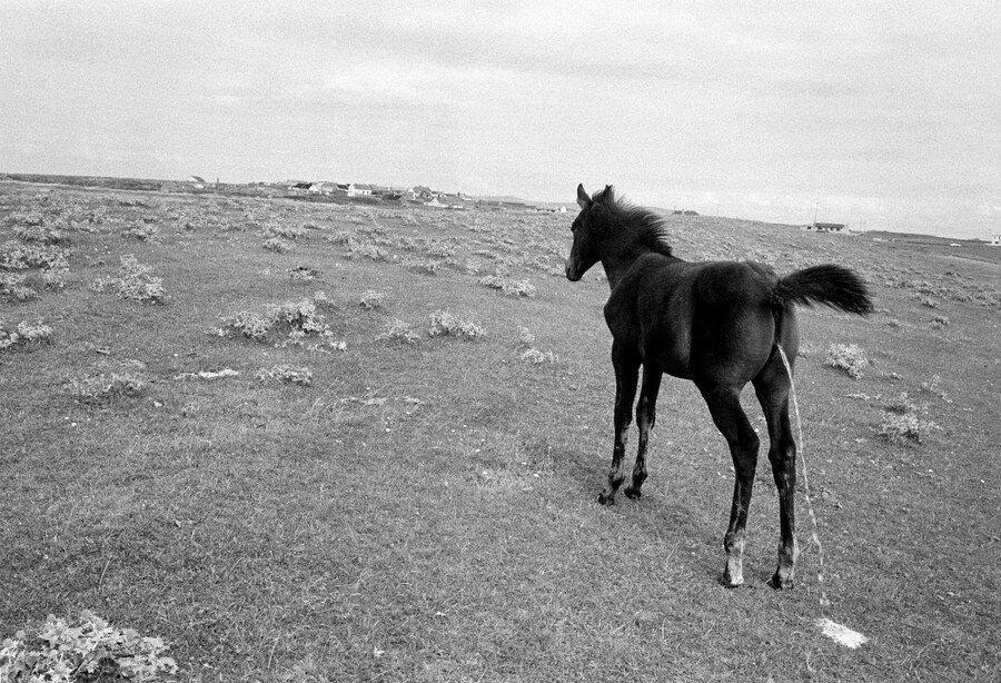 Irish Work Tom Wood Walk to the Green Rooms, 1987 