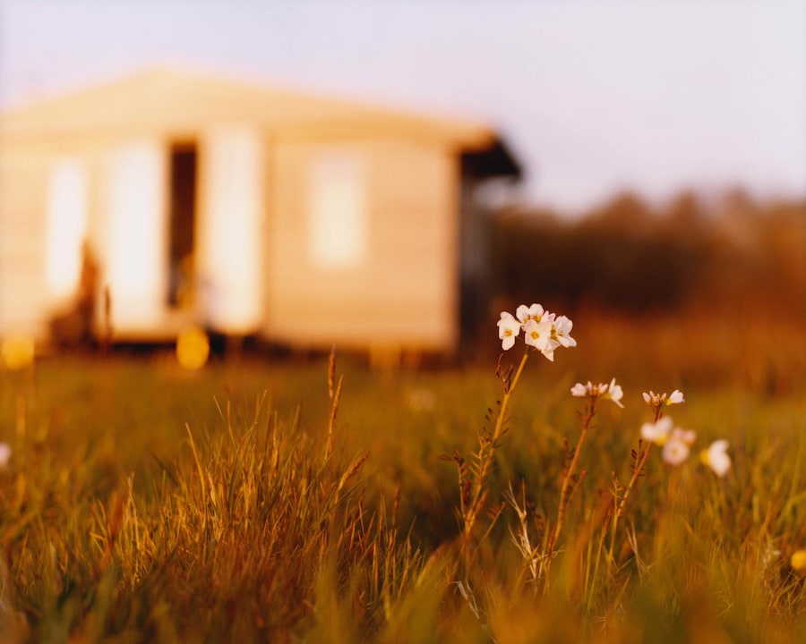 Sirui Ma - Cornwall print color (12)