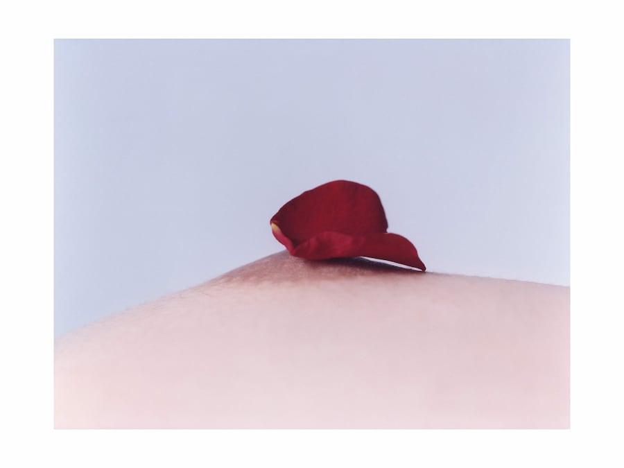 Alexandra Leese, Untitled, 2021