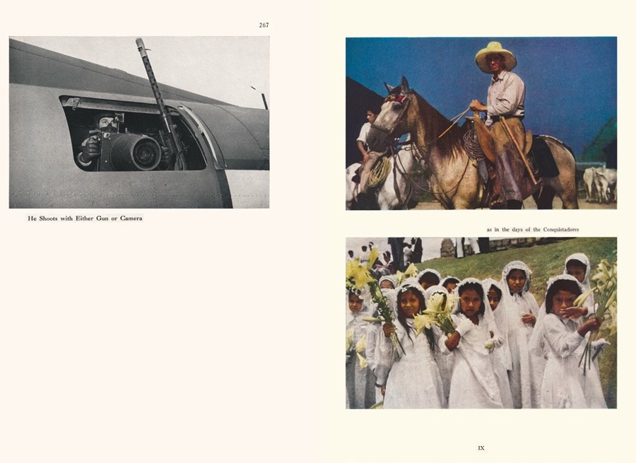 Michelle Dizon &amp; Viet Le, White Gaze (book spread), 2018