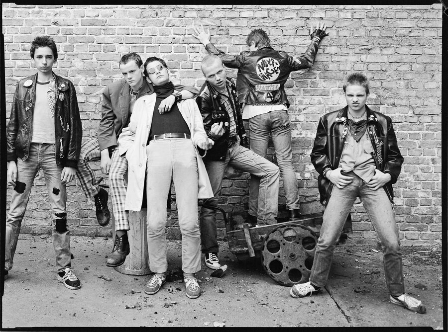 Rudolf Schäfer, Reproduktion_Generation_Punkjungs